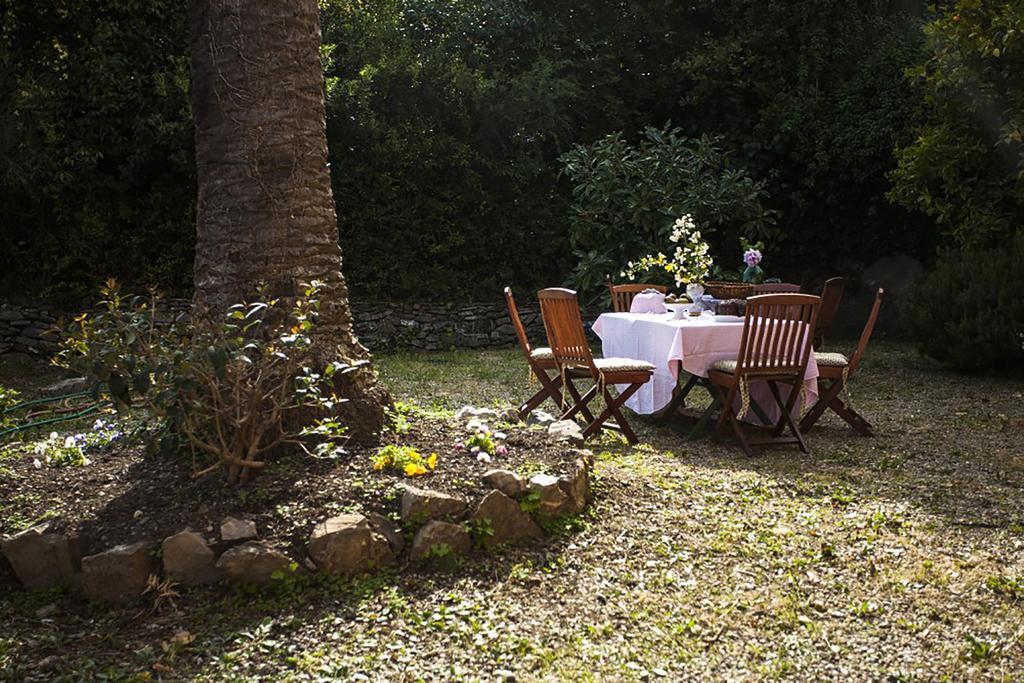 ألاسيو B&B Costa Lupara - Villa Murchio المظهر الخارجي الصورة